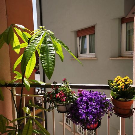 Apuleio 11 Lägenhet Rom Exteriör bild