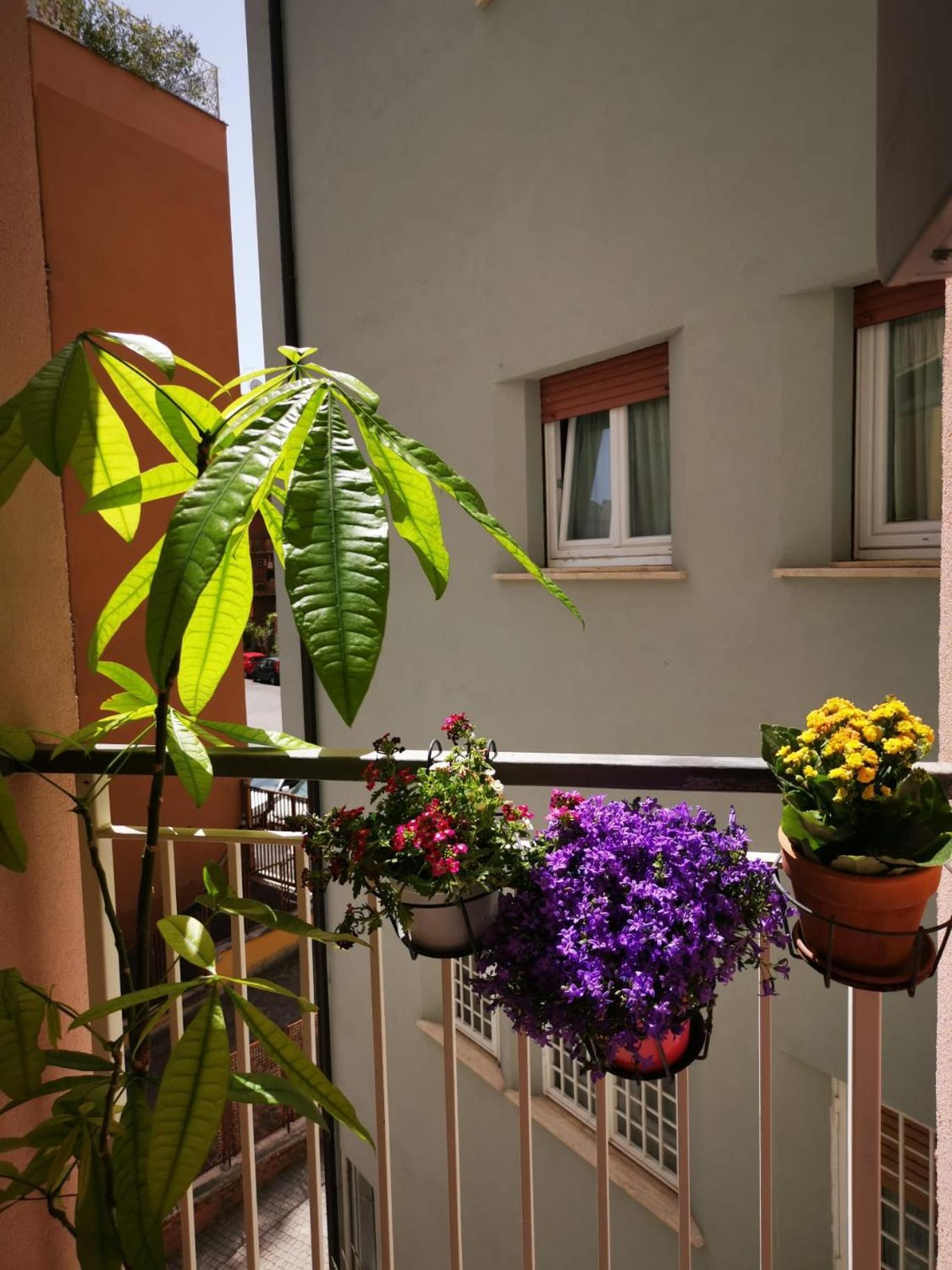 Apuleio 11 Lägenhet Rom Exteriör bild